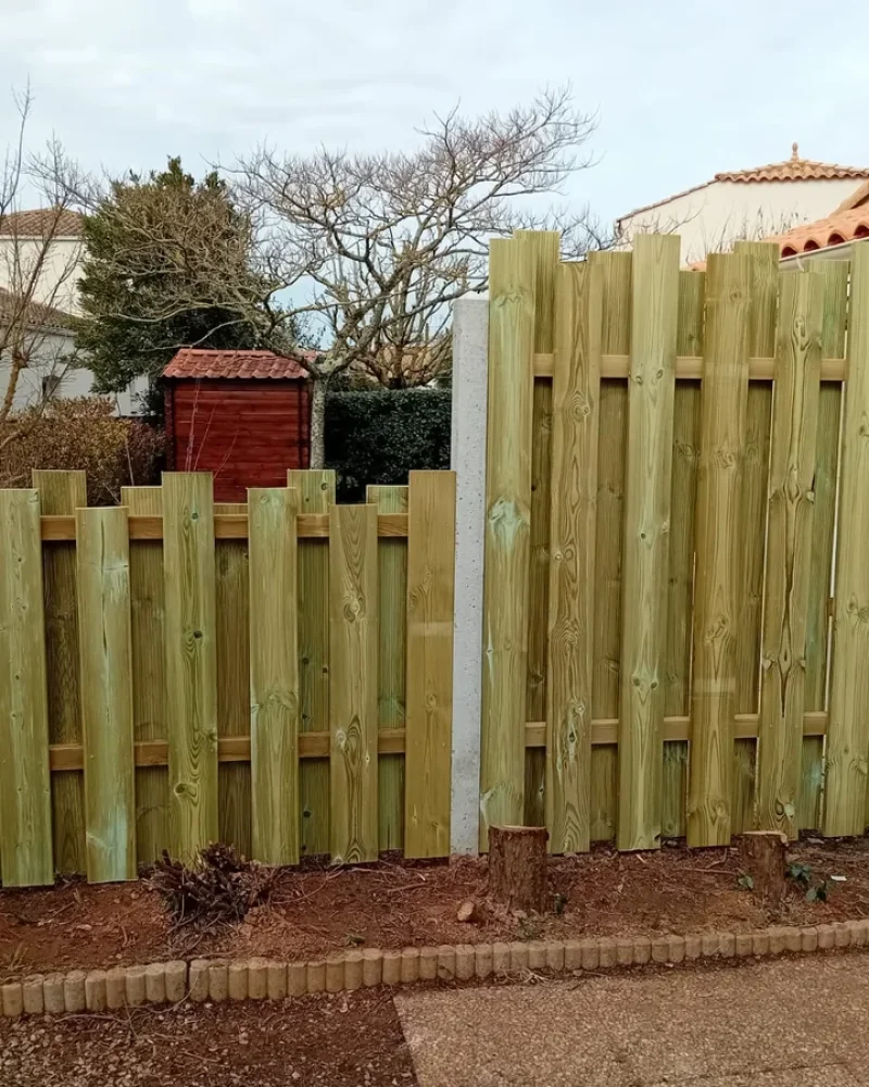 IMG-20250414-WA0056-petite