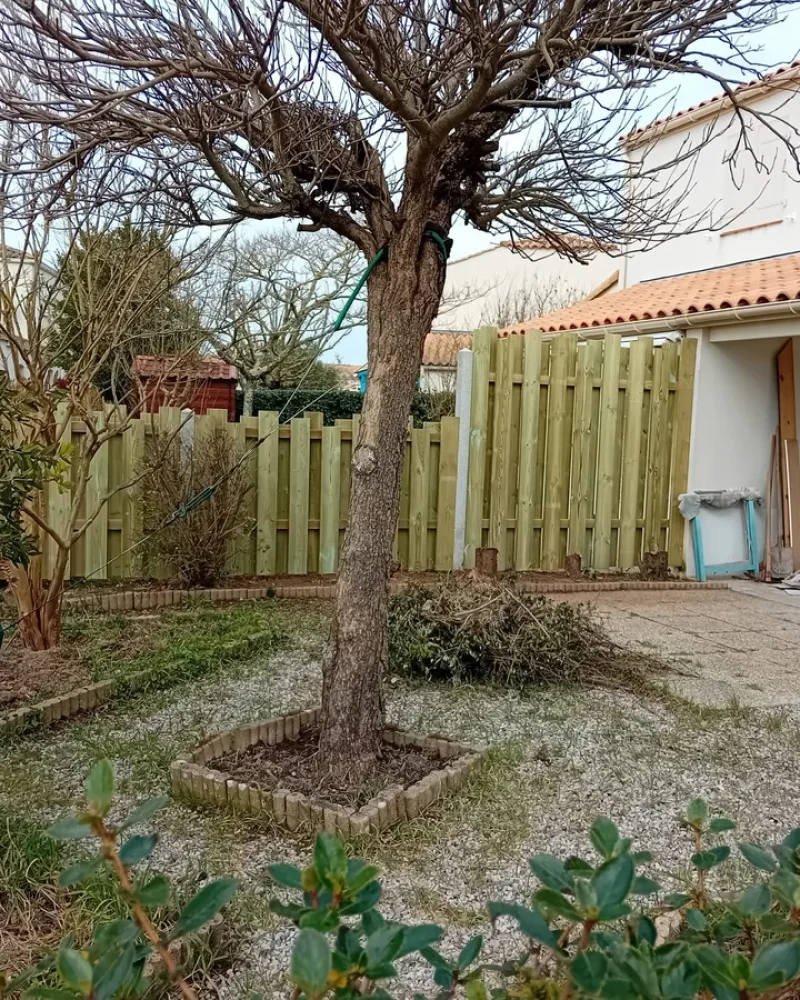 IMG-20250414-WA0057-petite