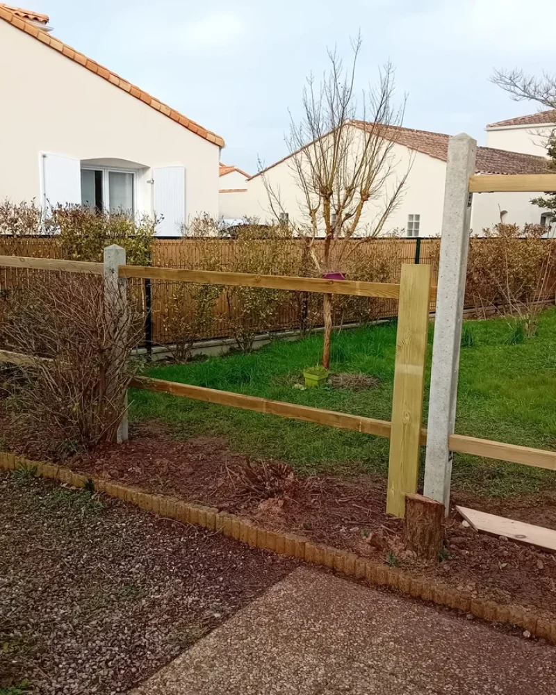 IMG-20250414-WA0058-petite