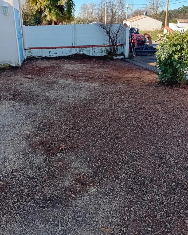 IMG-20250414-WA0061-petite