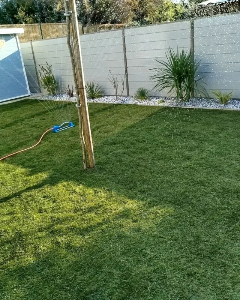 IMG-20250414-WA0063-petite