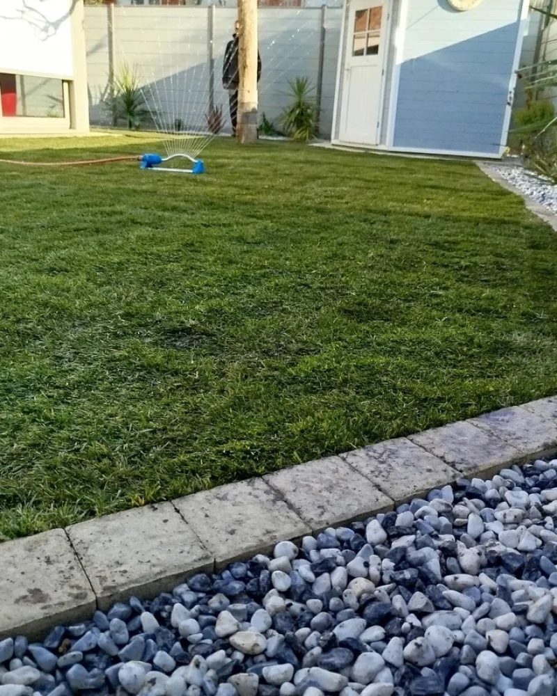 IMG-20250414-WA0065-petite