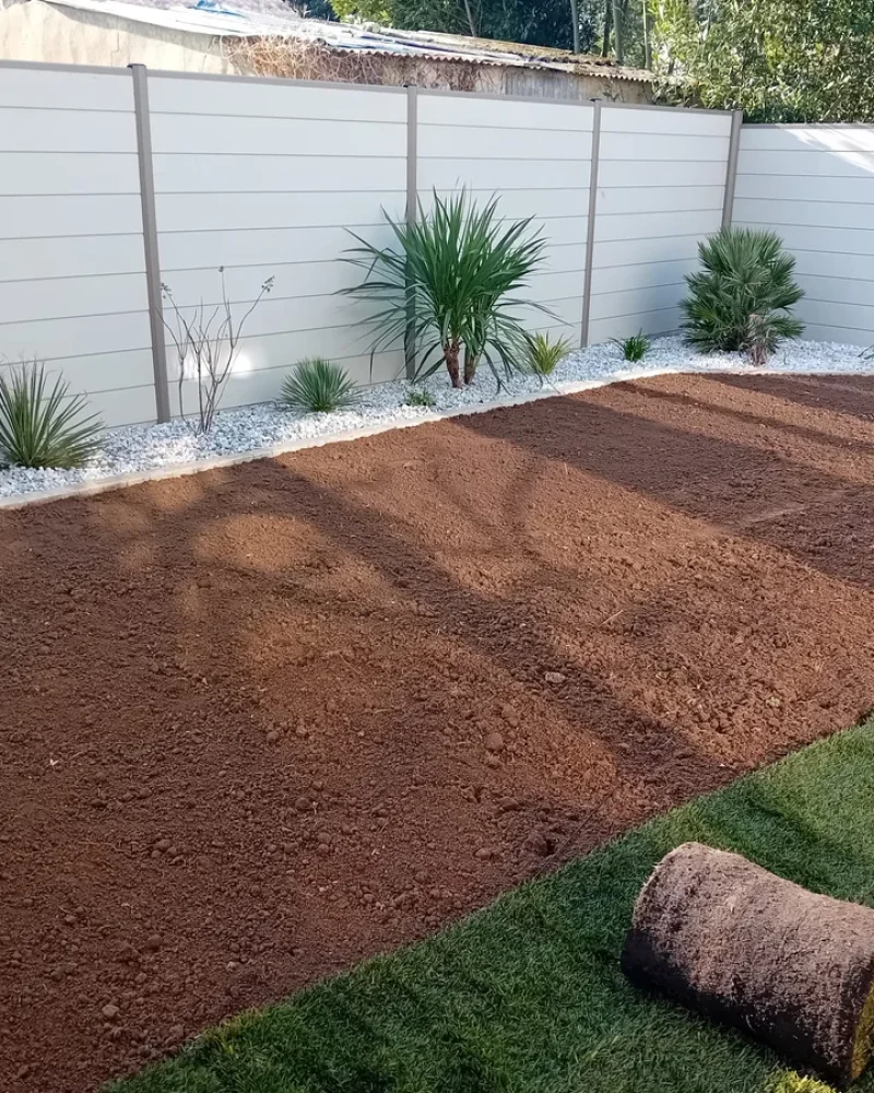 IMG-20250414-WA0066-petite