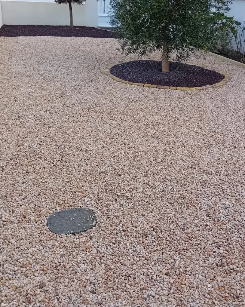 IMG-20250414-WA0067-petite