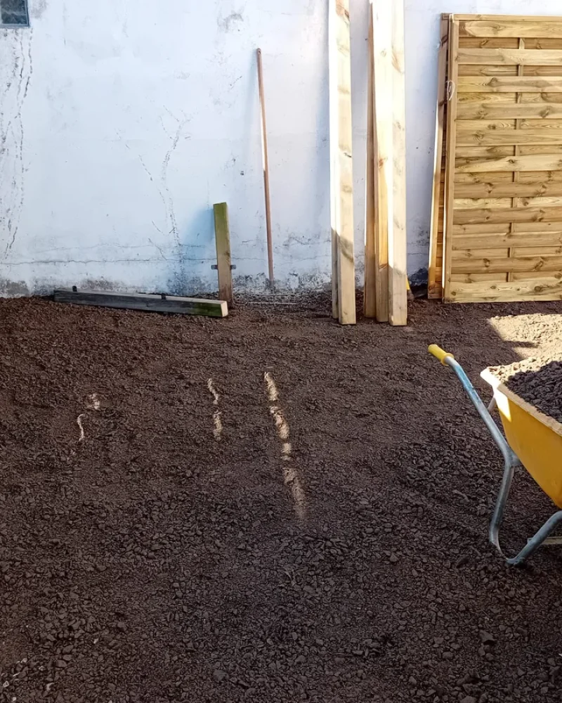 IMG-20250414-WA0073-petite