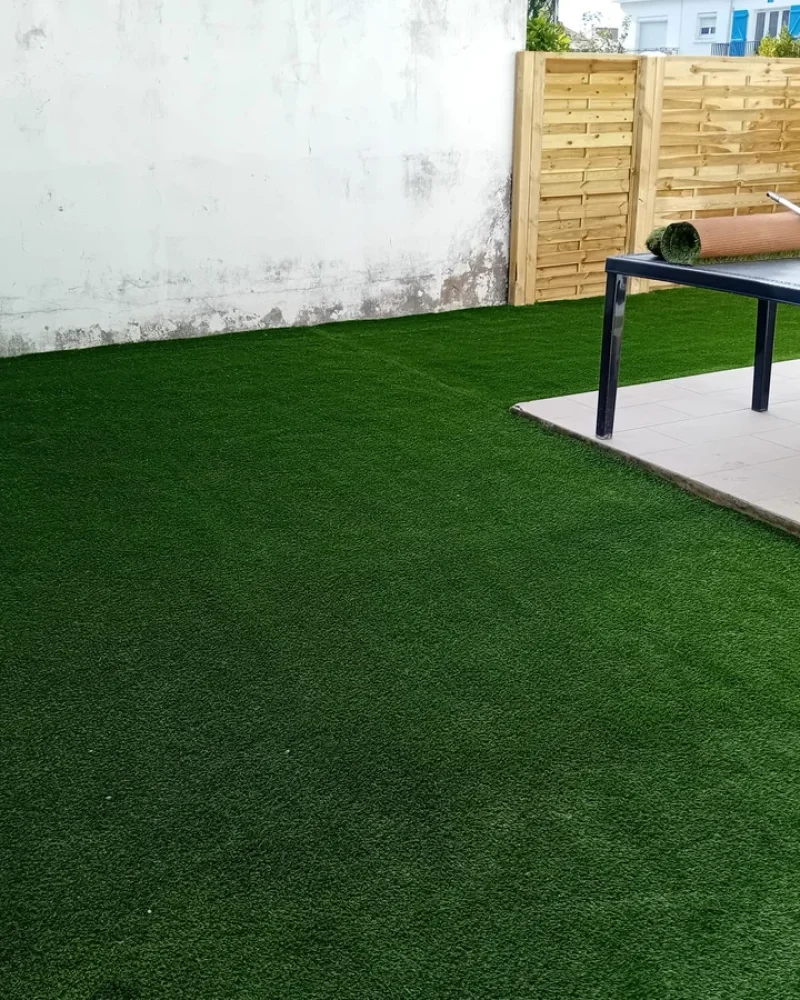 IMG-20250414-WA0077-petite