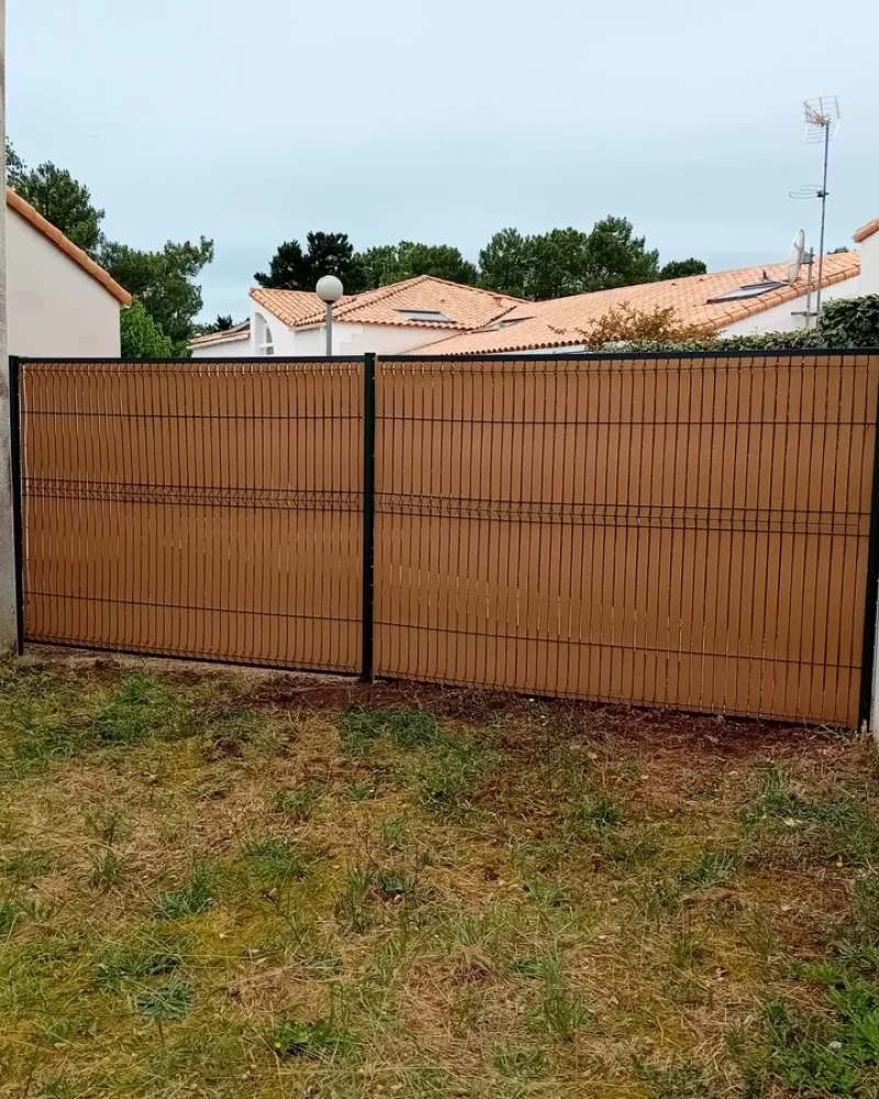 IMG-20250414-WA0078-petite