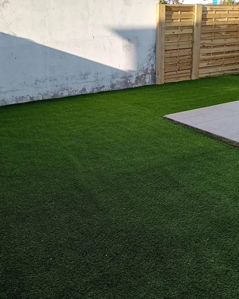 IMG-20250414-WA0079-petite