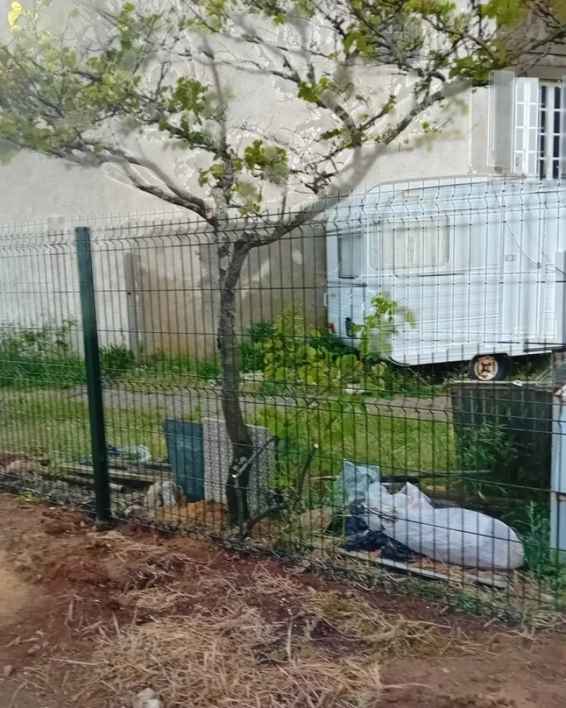 IMG-20250414-WA0087-petite