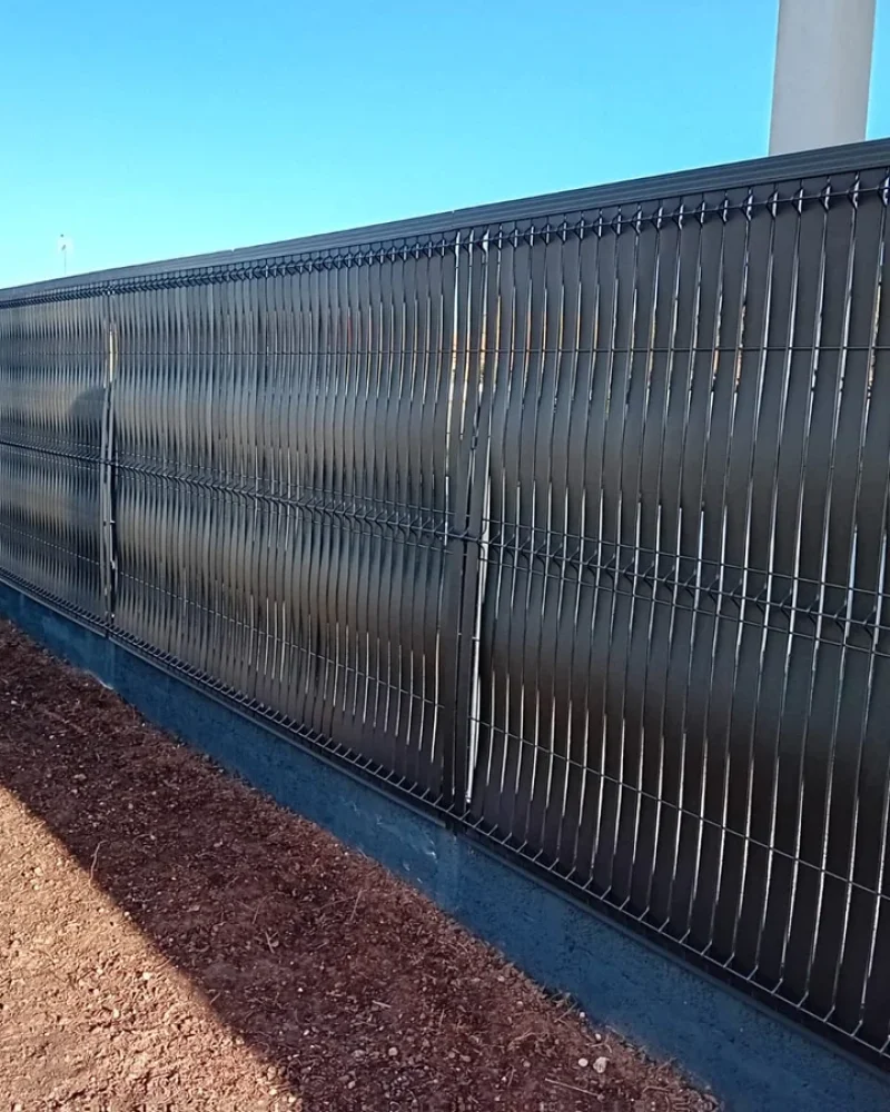 IMG-20250414-WA0088-petite