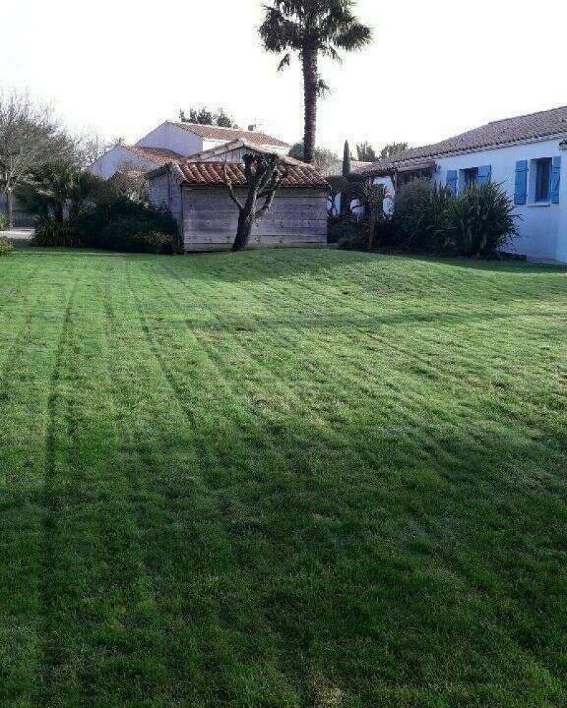 Création et aménagement de jardin à Saint Benoist sur mer par Gaborit PIerrea