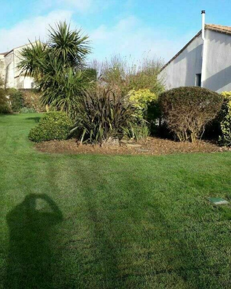Création et aménagement de jardin à Saint Benoist sur mer par Gaborit PIerrea