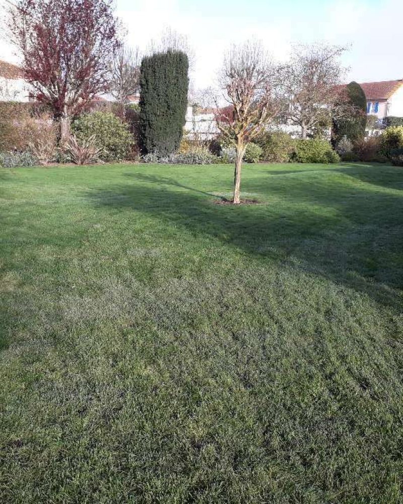 Création et aménagement de jardin à Saint Benoist sur mer par Gaborit PIerrea