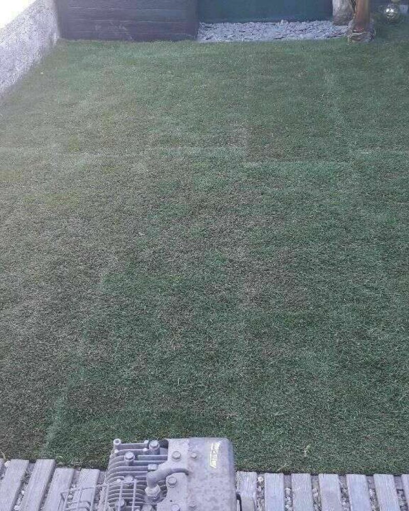 Création et aménagement de jardin à Saint Benoist sur mer par Gaborit PIerrea