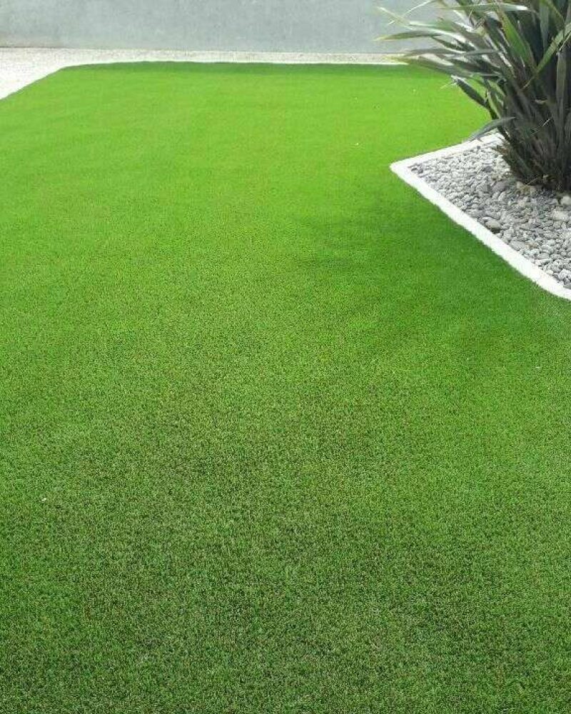 Création et aménagement de jardin à Saint Benoist sur mer par Gaborit PIerrea